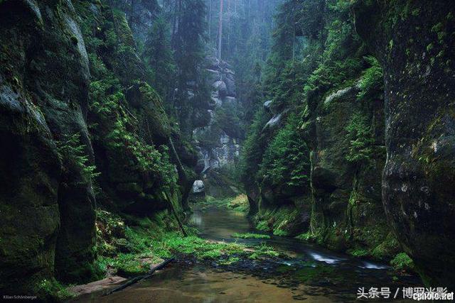 格林童话真实风景