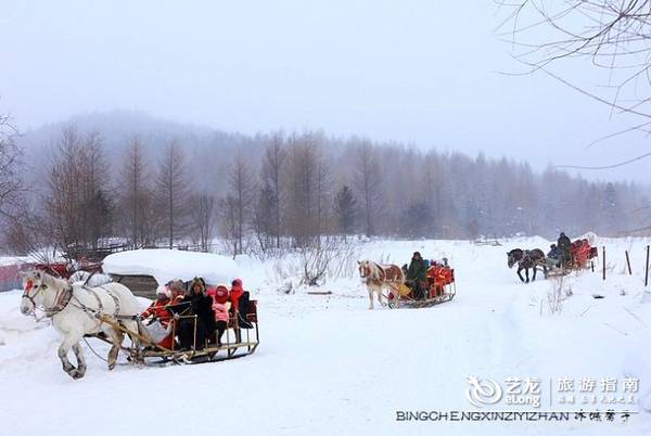 感受雪乡：努力做到让游客放心、贴心、舒心