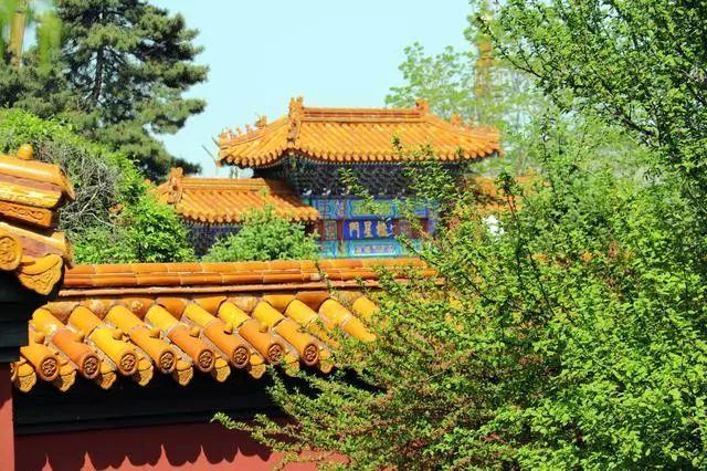 “如果古建筑会说话” 带你走进哈尔滨文庙