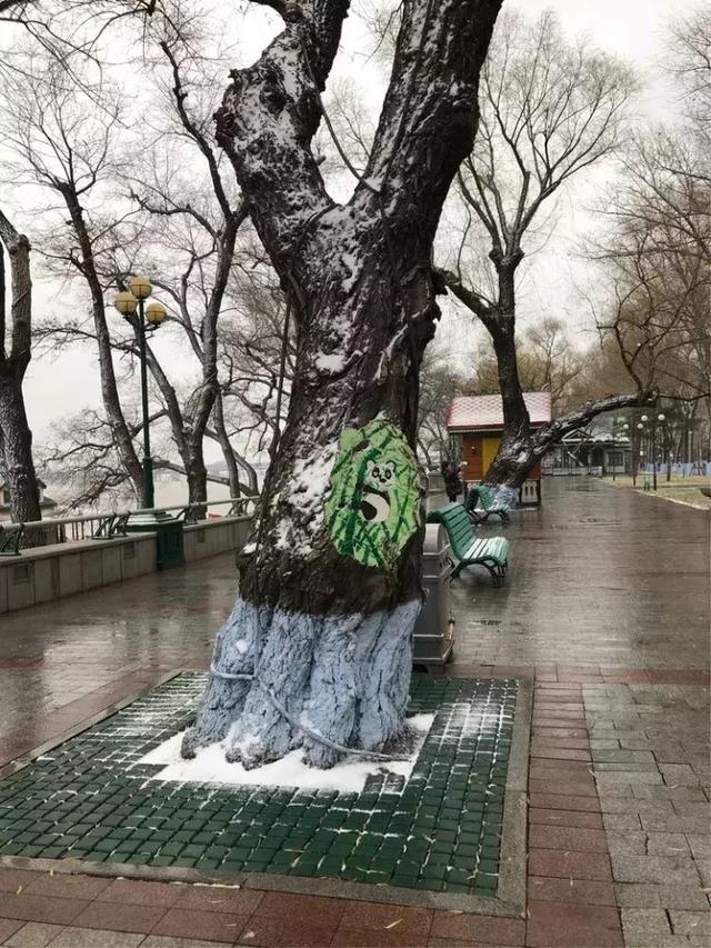 哈尔滨，风雪中的松花江畔