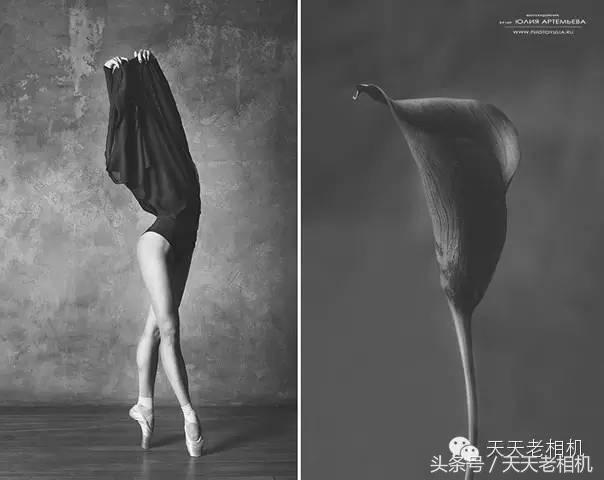 芭蕾极美，绽放若花！