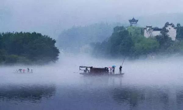 雨中桃花潭，美成了诗！