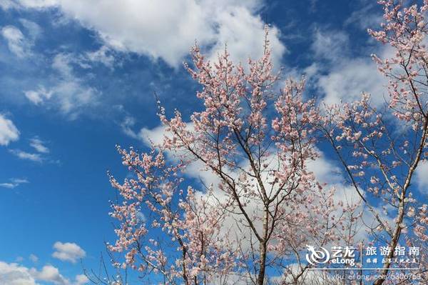 镜泊湖畔吊水楼瀑布，中国北方最壮观的熔岩塌陷瀑布