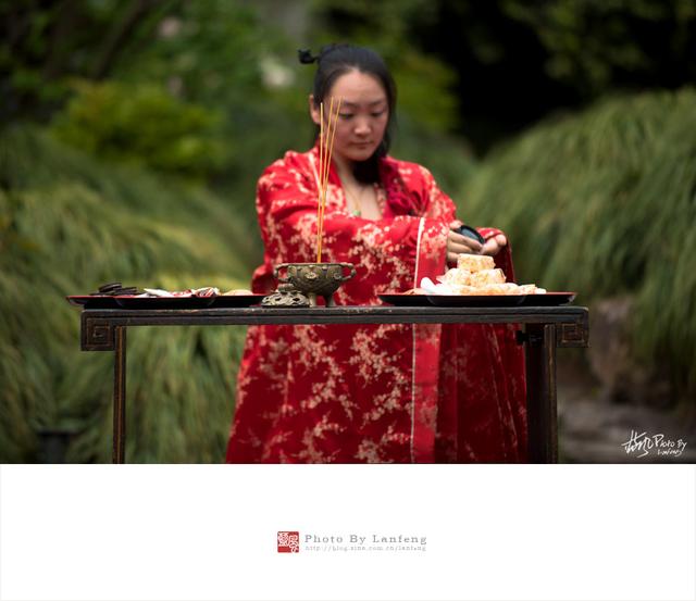 国色天香--牡丹花开动申城