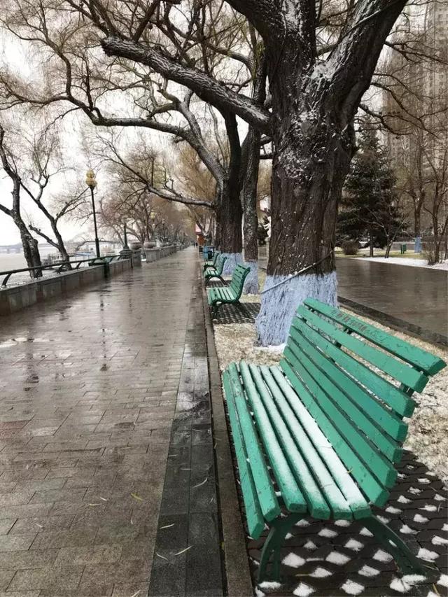 哈尔滨，风雪中的松花江畔